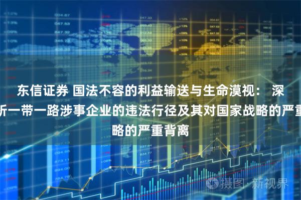 东信证券 国法不容的利益输送与生命漠视： 深度剖析一带一路涉事企业的违法行径及其对国家战略的严重背离