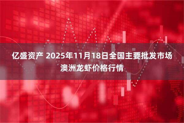 亿盛资产 2025年11月18日全国主要批发市场澳洲龙虾价格行情