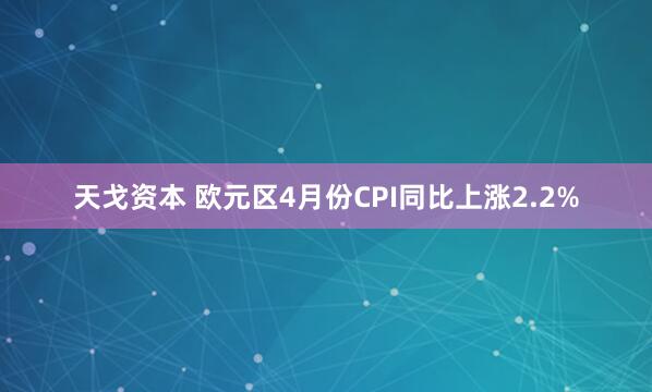 天戈资本 欧元区4月份CPI同比上涨2.2%