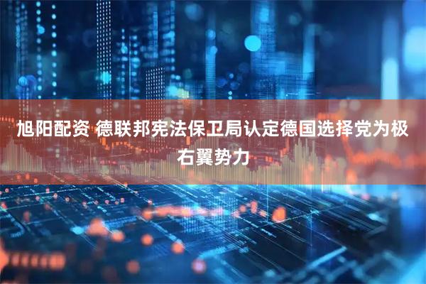 旭阳配资 德联邦宪法保卫局认定德国选择党为极右翼势力