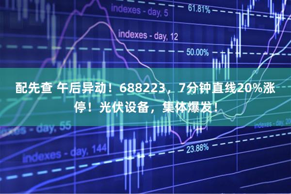 配先查 午后异动！688223，7分钟直线20%涨停！光伏设备，集体爆发！