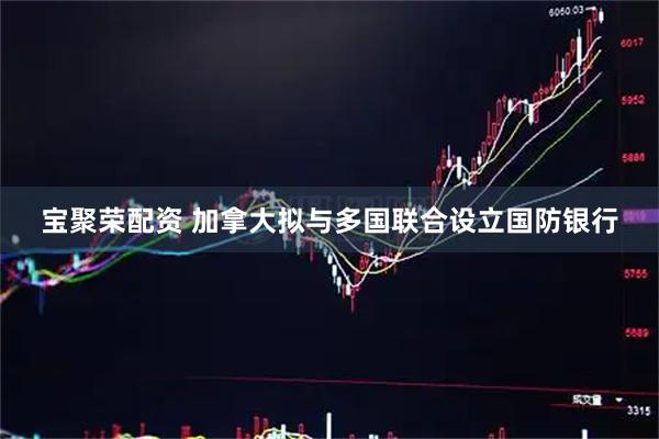 宝聚荣配资 加拿大拟与多国联合设立国防银行