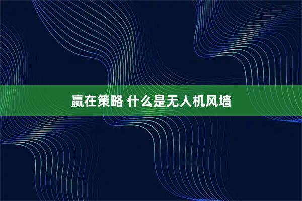 赢在策略 什么是无人机风墙