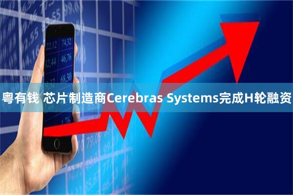粤有钱 芯片制造商Cerebras Systems完成H轮融资